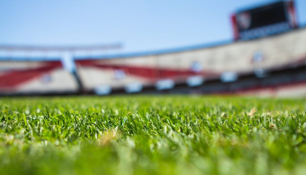 cricket-stadium